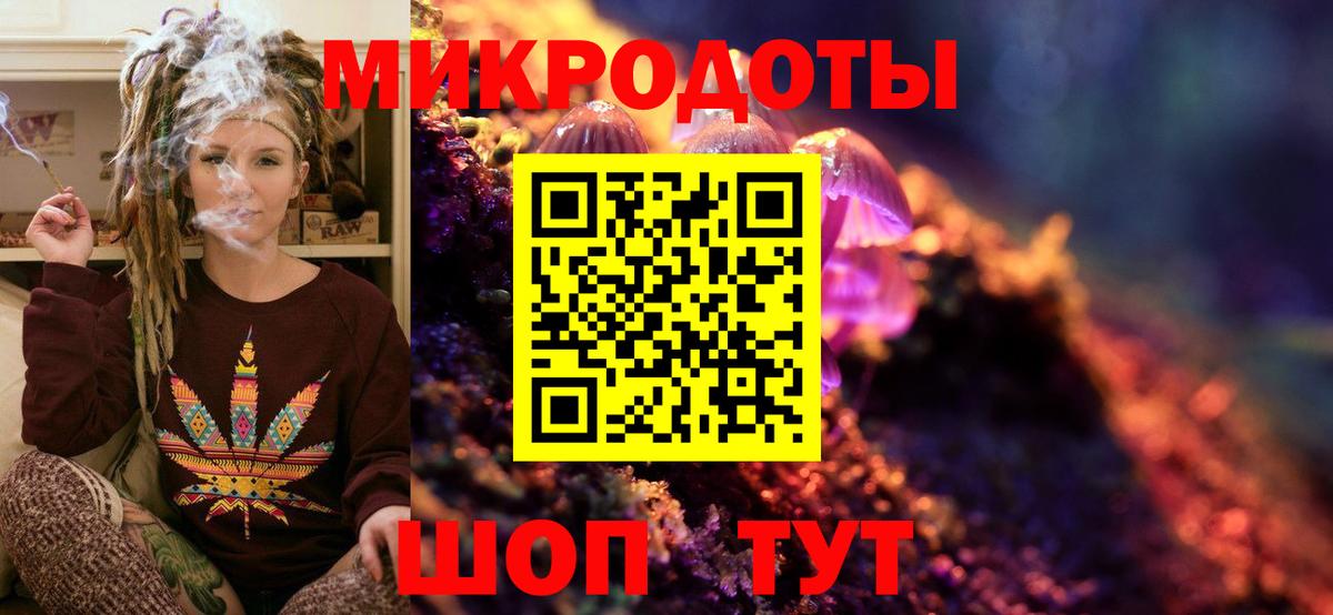 Псилоцибиновые грибы Psilocybine cubensis Миллерово